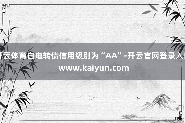 开云体育白电转债信用级别为“AA”-开云官网登录入口 www.kaiyun.com