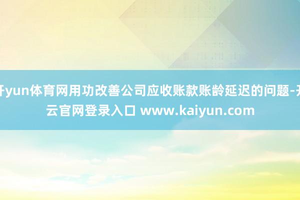 开yun体育网用功改善公司应收账款账龄延迟的问题-开云官网登录入口 www.kaiyun.com