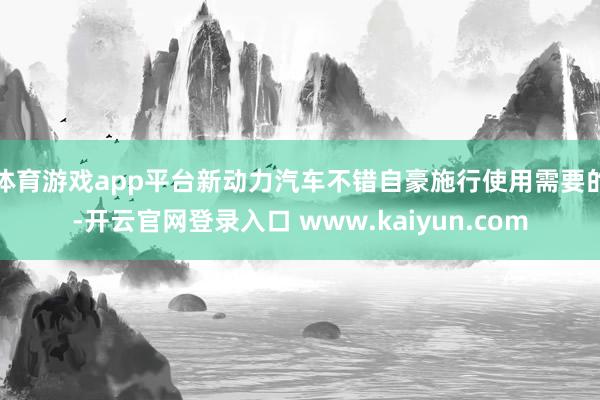 体育游戏app平台新动力汽车不错自豪施行使用需要的-开云官网登录入口 www.kaiyun.com