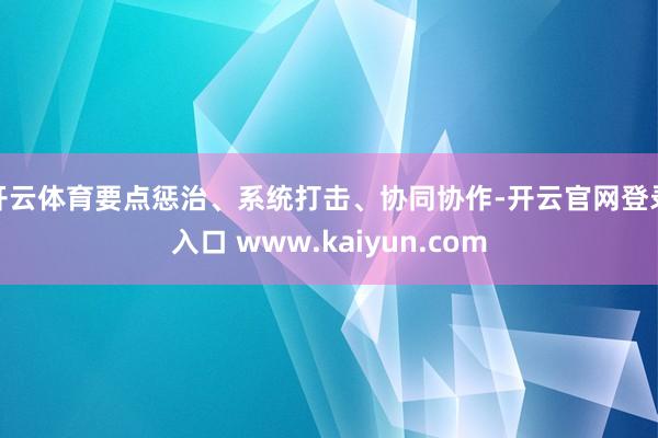 开云体育要点惩治、系统打击、协同协作-开云官网登录入口 www.kaiyun.com