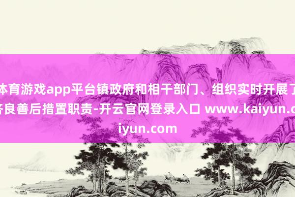体育游戏app平台镇政府和相干部门、组织实时开展了赈济良善后措置职责-开云官网登录入口 www.kaiyun.com