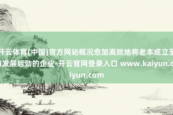 开云体育(中国)官方网站概况愈加高效地将老本成立至具有发展后劲的企业-开云官网登录入口 www.kaiyun.com