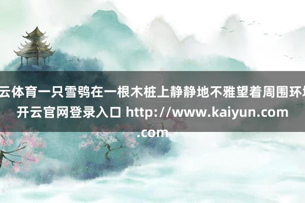 开云体育一只雪鸮在一根木桩上静静地不雅望着周围环境-开云官网登录入口 http://www.kaiyun.com